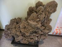 Eine der größten je gefundenen Sandrosen