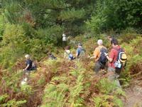 Alta Rocca - Wanderung