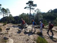 Forêt de l'Ospédale