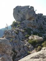 Forêt de l'Ospédale
