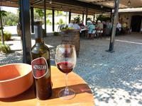 Ronda - Bodega Los Frutales