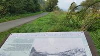 Blick zum Lilienstein