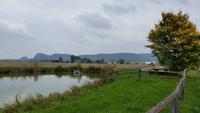 am Teich vorbei