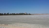 Salzsee in Larnaca
