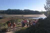 Im Naturschutzgebiet s'Albufera des Grau