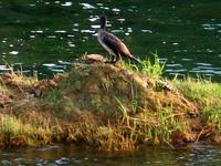 Im Krka- Nationalpark