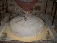 Im Krka- Nationalpark