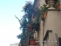 Sizilien September 2014 047