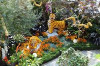 Singapur – Gardens by the Bay