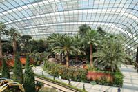 Singapur – Gardens by the Bay