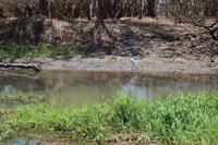 Kakadu-Nationalpark – Bootsfahrt auf dem Yellow Waters