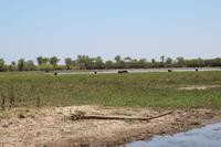 Kakadu-Nationalpark – Bootsfahrt auf dem Yellow Waters