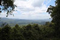 Cairns – Skyrail – Spaziergang