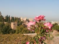 Blick zur Alhambra in Granada