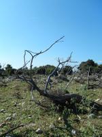 Wanderung über die Insel - seltsame Gebilde