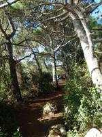 Auf dem Weg zurück zum Hotel