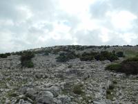 Impressionen von Veli Vrh