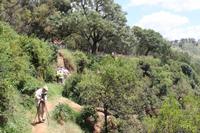Thompson Wasserfall