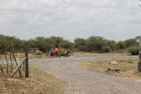 Auf dem Weg in die Masai Mara