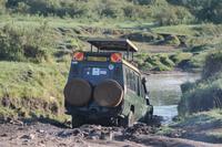 Über Stock und Stein