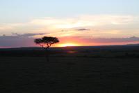 Sonnenuntergang in der Masai Mara