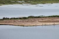Amboseli Nationalpark