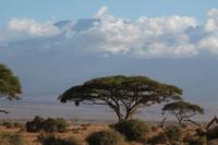 Amboseli Nationalpark