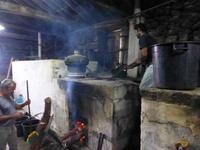 Pico - Schnapsbrennerei