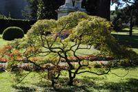 Vatikanische Gärten