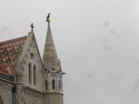 Stadtführung Budapest-Matthiaskirche