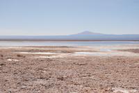 Chaxa-Lagune im Salzsee