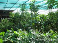 Fahrt an die Ostküste über das Hajar Gebirge nach Fujairah