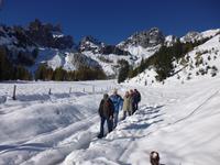 Dachstein_Oberhofalm _Wandergruppe (1)