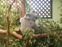 Featherdale Wildlife Park