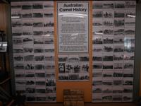 Fahrt von Alice Springs nach Yulara (Pause auf einer Kamelfarm)