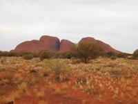 Outback - Blick auf die Kata Tjutas (Olgas)