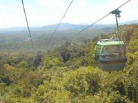 Fahrt mit der Regenwald-Skyrail nach Kuranda