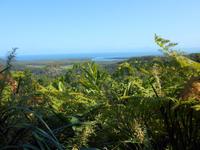Daintree Nationalpark (Aussichtspunkt Alexandra Range)