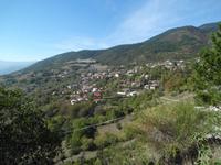 Bick auf Trigona in Epirus