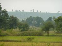 P1140481