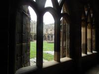 Ron bekam auf dieser Wiese seinen eigenen Schneckenfluch ab