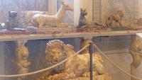 Statuensammlung der vatikanischen Museen