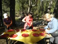 Picknick