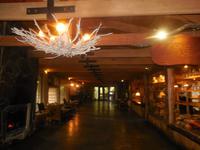 Hotel Nothofagus in Huilo Huilo
