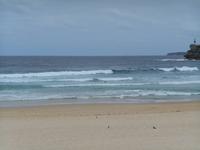 Sydney (Bondi Beach)