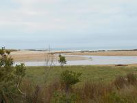 Great Ocean Road (Kennett River)