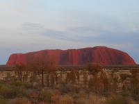 Outback - Sonnenaufgang am Uluru (Ayers Rock)