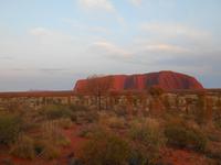Outback - Sonnenaufgang am Uluru (Ayers Rock)