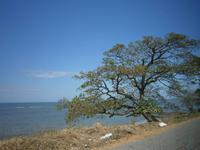 075 Fiji Impressionen