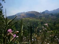 090  Fiji Impressionen